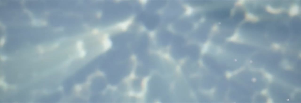 Banner #1