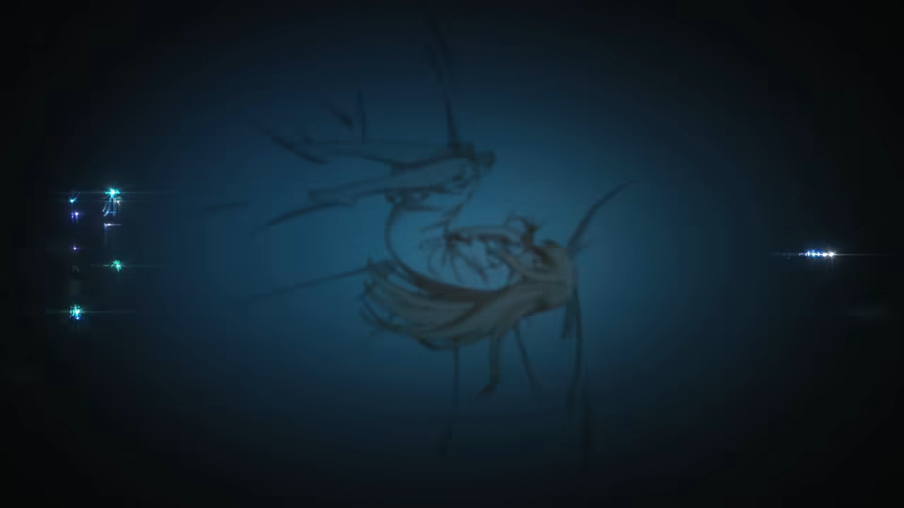 Banner #1