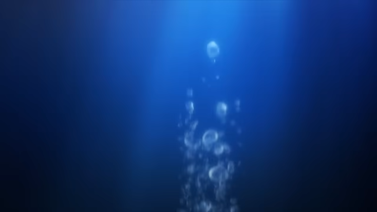 Banner #1