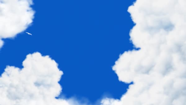 Banner #1