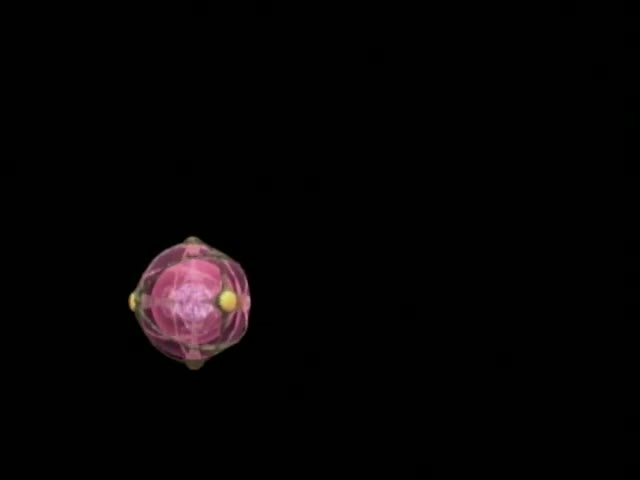 Banner #1